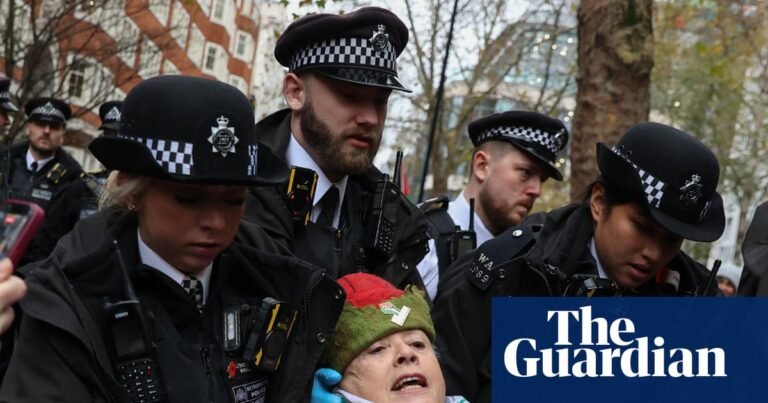 Right to protest is under attack in England and Wales, reports warn | Protest