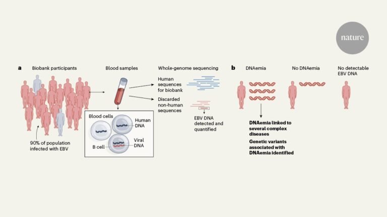 Scraps of viral DNA in biobank samples reveal secrets of Epstein–Barr virus Scraps of viral DNA in biobank samples reveal secrets of Epstein–Barr virus
