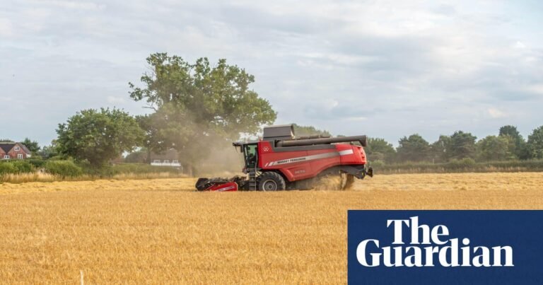 Smaller farms in England to be prioritised for nature funding, minister to announce | Farming