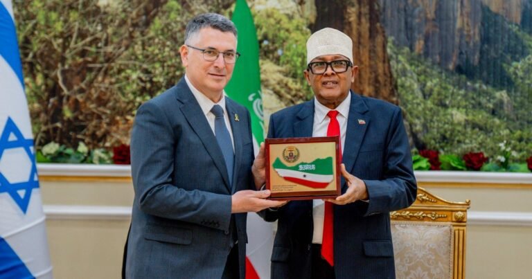 Somali minister says Israel plans to displace Palestinians to Somaliland | Israel-Palestine conflict News