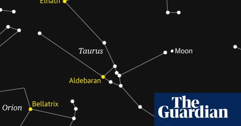 Starwatch: Moon occultation will ‘wink out’ Pleiades star cluster | Astronomy