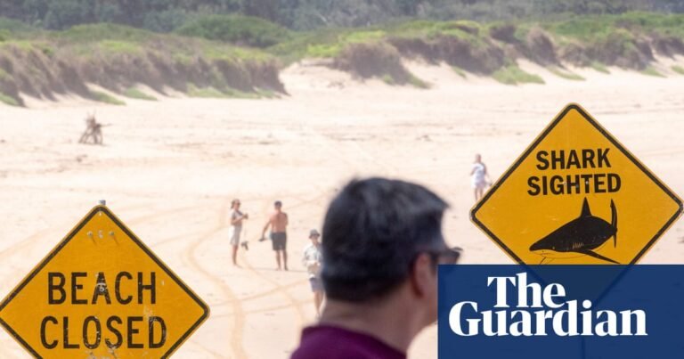 Sydney harbour shark attack: second incident in two days as police warn against swimming in some spots | Sydney