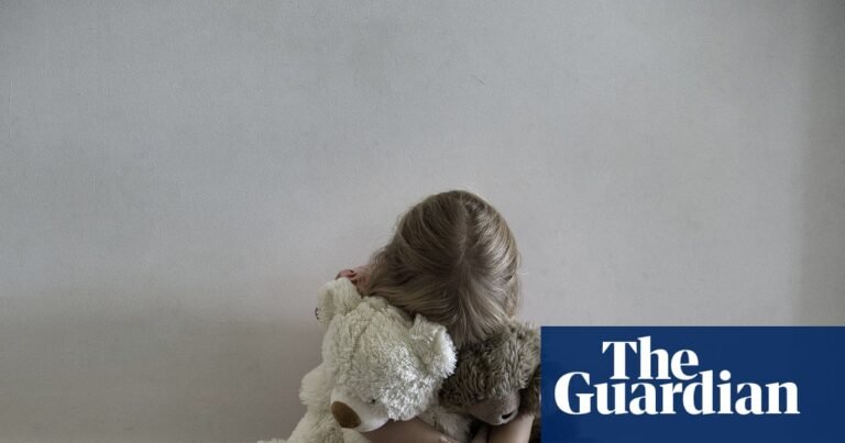 When it comes to child custody, is the system failing families? | Family law