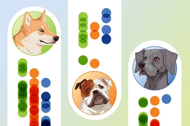 Which dog breed stereotypes are true? Here’s the science Which dog breed stereotypes are true? Here’s the science
