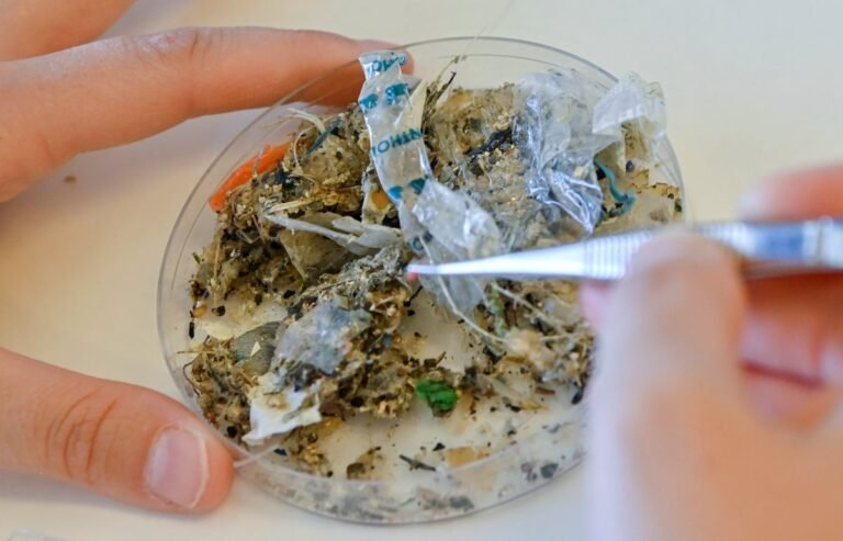 ‘Microbubbles’ Help Spread Dangerous Microplastics Through Our Water, Study Finds