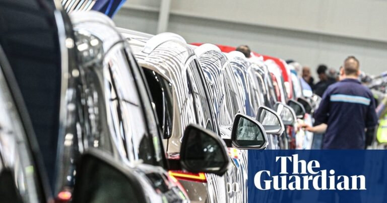 ‘My Tesla has become ordinary’: Turkey catches up with EU in electric car sales | Electric, hybrid and low-emission cars