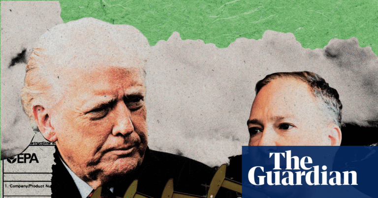 ‘Shameful’: Trump’s EPA accused of prioritizing big business over public health | Environment ‘Shameful’: Trump’s EPA accused of prioritizing big business over public health | Environment