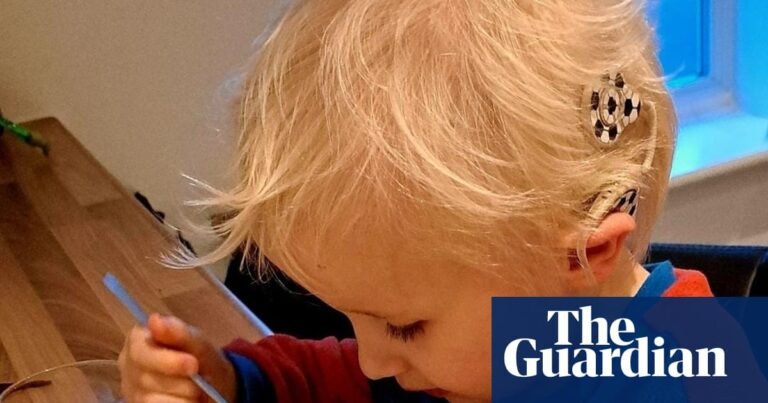‘We’ve fought so hard’: family’s worry as England’s Send overhaul looms | Special educational needs