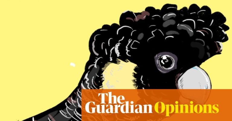 A scorching summer has left Australian wildlife on the brink, but it doesn’t have to be this way | Euan Ritchie and Jess Harwood A scorching summer has left Australian wildlife on the brink, but it doesn’t have to be this way | Euan Ritchie and Jess Harwood