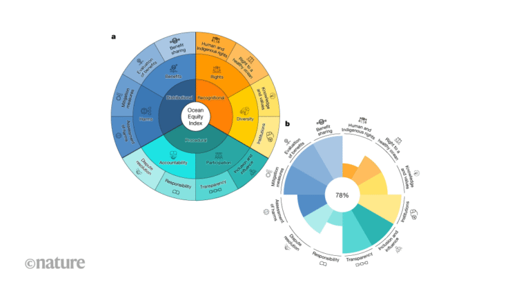 A way to gauge the equity of ocean-related initiatives