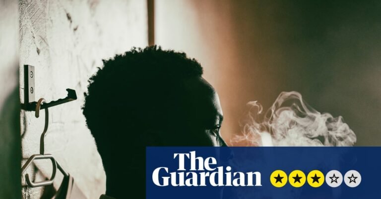 Animol review – gritty young offenders drama challenges conventional machismo | Movies