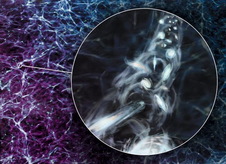 Astronomers spot one of the largest spinning structures in the universe Astronomers spot one of the largest spinning structures in the universe