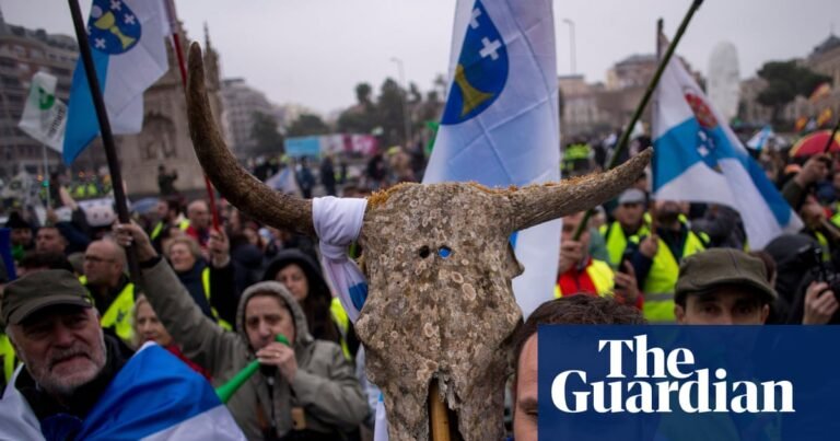 Beef and lamb get 580 times more in EU subsidies than legumes, study finds | Farming