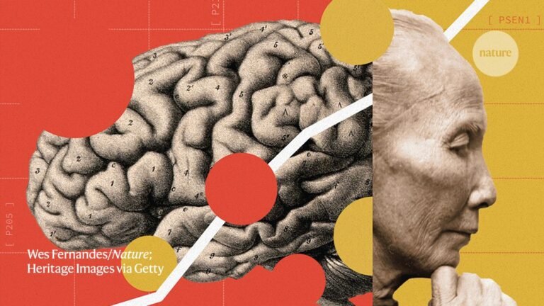China is waging war on Alzheimer’s. What can its approach teach the rest of the world? China is waging war on Alzheimer’s. What can its approach teach the rest of the world?