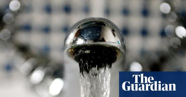 Environmentalists decry ‘crushingly disappointing’ Pfas action plan for UK | Pfas