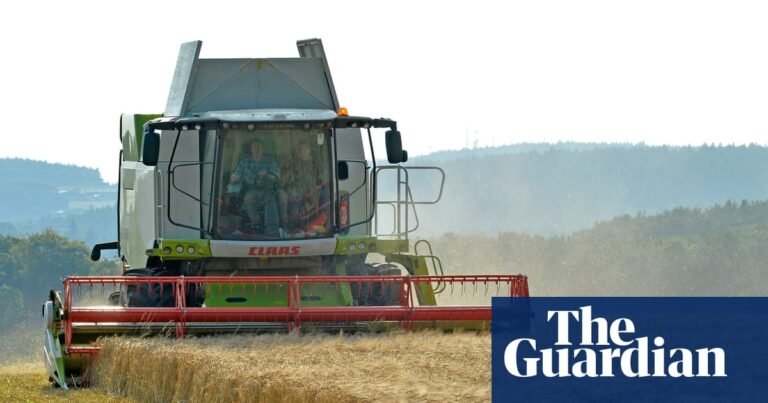 Farmers in England face losses under new cap on sustainable farming payments | Farming