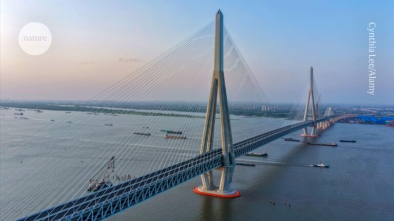 First ‘practical PhDs’ awarded in China — for products rather than papers