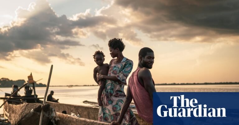 Floating cities of logs: can the ‘lungs of Africa’ survive its exploitation? | Democratic Republic of the Congo