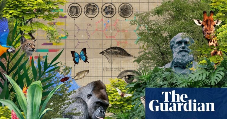From the archive: Do we need a new theory of evolution? – podcast | Evolution