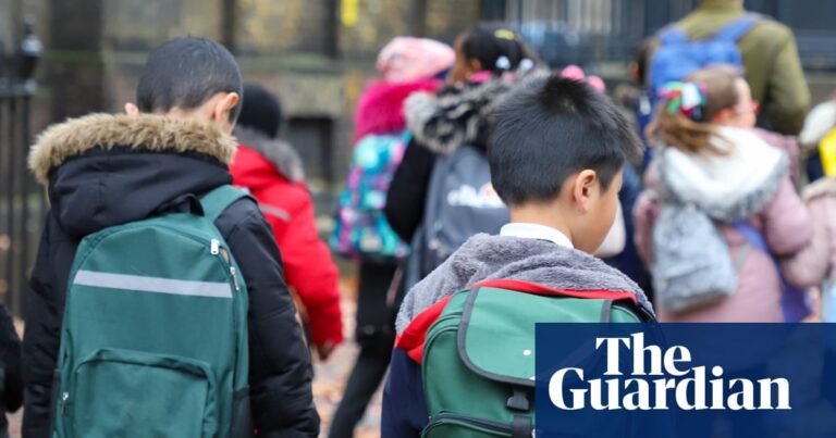Gender guidance for English primary school pupils permits use of different pronouns | Education