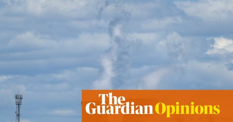 Labor will never have a better time to revisit carbon pricing – but does it have the stomach to make polluters pay? | Adam Morton