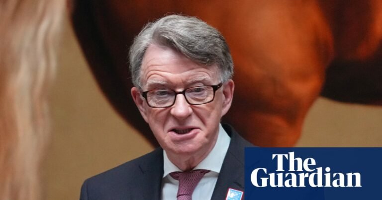 Mandelson could face police inquiry over alleged leak to Epstein | Jeffrey Epstein