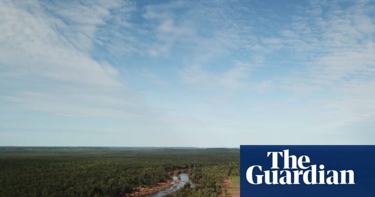 NT environmentalists ‘gobsmacked’ at federal green light to bulldoze nearly 3,000 hectares of tropical savanna | Northern Territory