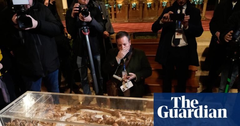 Saint Francis of Assisi’s skeleton goes on public display for first time | Italy Saint Francis of Assisi’s skeleton goes on public display for first time | Italy