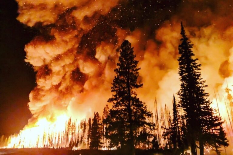 Scientists See Growing Risk of 'Hothouse Earth' as Warming Gains Pace