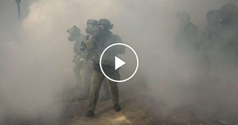 Senate Democrats Block Funding for D.H.S.