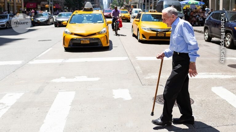 Stem cells provide a potent treatment for frailty Stem cells provide a potent treatment for frailty