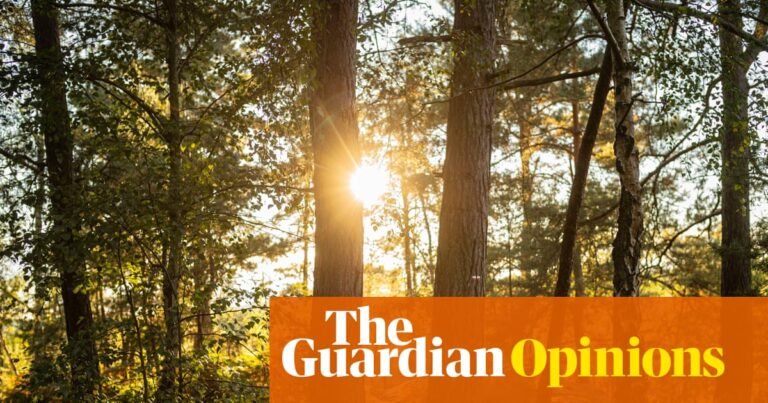 The Guardian view on risks from biodiversity collapse: warnings must be heeded before it’s too late | Editorial The Guardian view on risks from biodiversity collapse: warnings must be heeded before it’s too late | Editorial