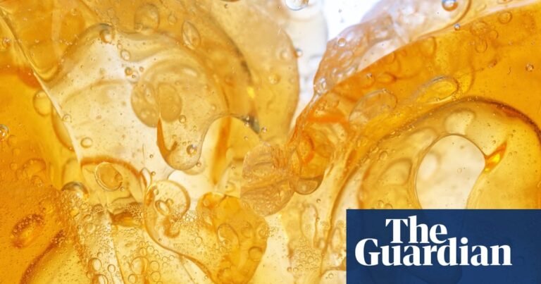 The truth about fat, and its complex role in our health – podcast | Science The truth about fat, and its complex role in our health – podcast | Science