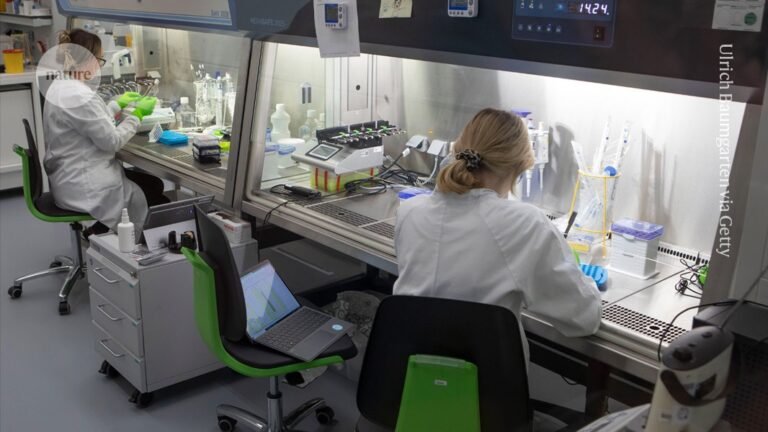 US grant applicants surge at prestigious European research agency