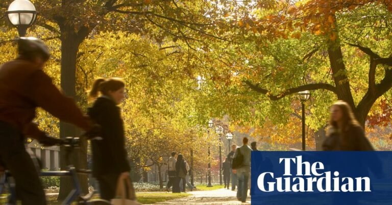 US students and professors: tell us if the Epstein files have affected your university | US universities