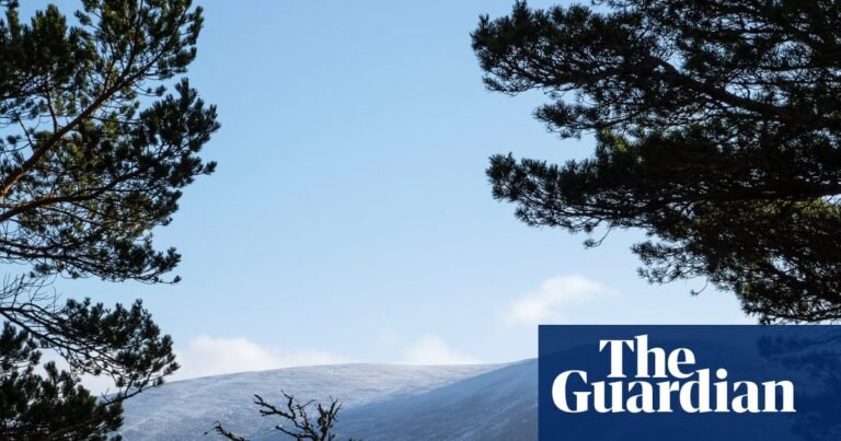 Wealthy use loophole to conceal value of £300m in Scottish land sales | Scotland