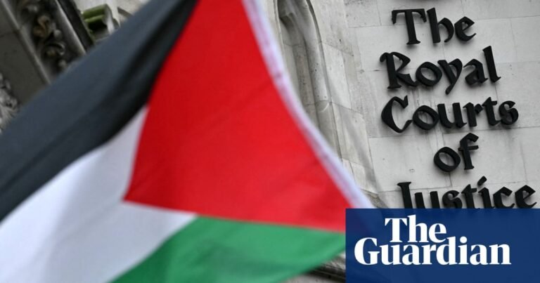 Why dispute ruling on Palestine Action, but accept legal challenge on elections? | Labour