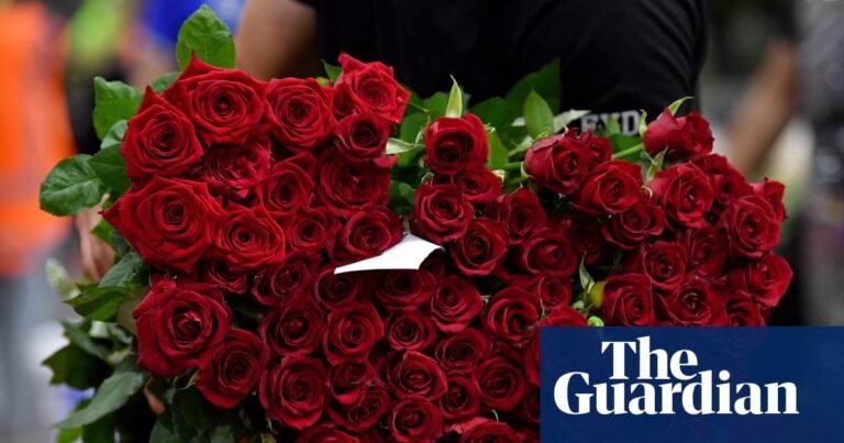 Why red roses on Valentine's Day are so bad for the planet – video | Valentine's Day