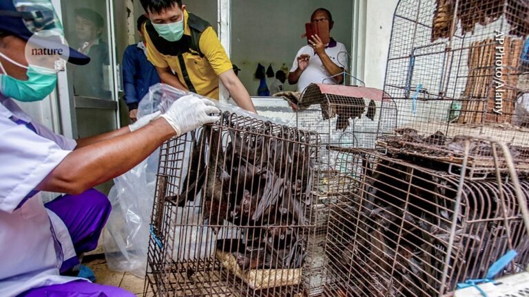 what we do and don’t know