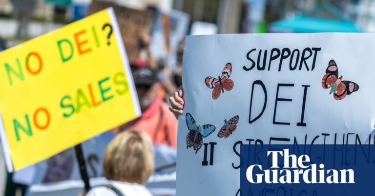 ‘DEI is dead, equality isn’t’: experts chart path forward amid Trump’s culture war | DEI policies