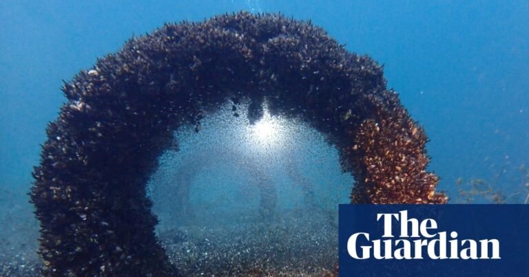 ‘Everything is quagga mussel now’: can invasive species be stopped? – podcast | Science