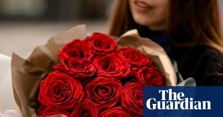 ‘Nothing says love like chemicals’: Valentine’s roses often covered in pesticides, testing finds | Valentine's Day