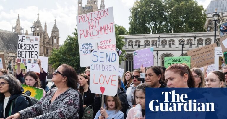 ‘They’re not listening!’: the government’s gamble on special education reform – podcast | Special educational needs ‘They’re not listening!’: the government’s gamble on special education reform – podcast | Special educational needs