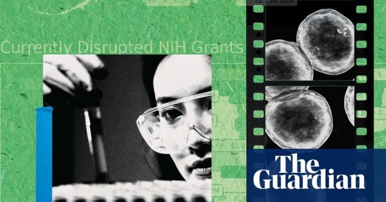 ‘We’re no longer attracting top talent’: the brain drain killing American science | US news ‘We’re no longer attracting top talent’: the brain drain killing American science | US news