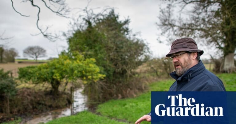 A century of care: Wildlife Trusts mark 100th birthday with woodland project | Wildlife