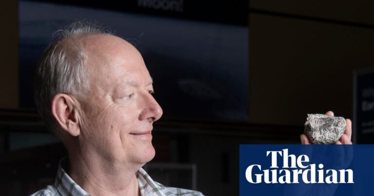 A new start after 60: I’d had several careers but no degree – then I became a palaeontologist at 62 | Life and style