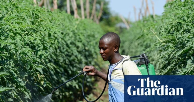Africa particularly vulnerable as Iran conflict disrupts supply chains, say experts | Africa Africa particularly vulnerable as Iran conflict disrupts supply chains, say experts | Africa