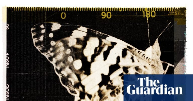 Butterflies crossing oceans, moths navigating by the stars: unravelling the mysteries of insect migrations | Insects