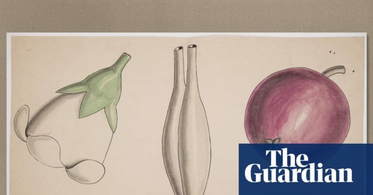 Cambridge offers botany course that inspired Darwin after rare archive uncovered | Plants Cambridge offers botany course that inspired Darwin after rare archive uncovered | Plants