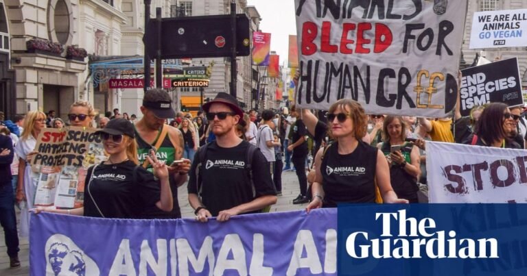 Charity challenges ‘chilling’ law change restricting protest at animal testing sites | Protest Charity challenges ‘chilling’ law change restricting protest at animal testing sites | Protest